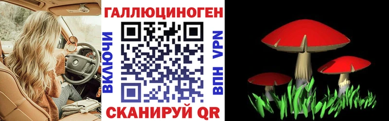 Купить  Тетюши  Псилоцибиновые грибы Magic Shrooms 